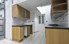 Broneirion kitchen extension leads